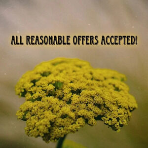 Accepting all reasonable offers!